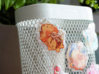 Munchimals: Acrylic Pins